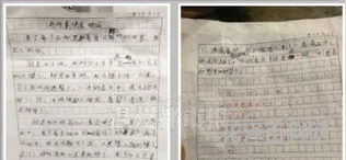 不会变的是爱作文
