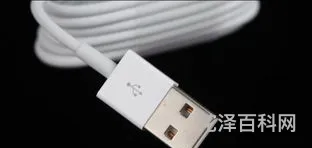 包含数据线只能充电的词条