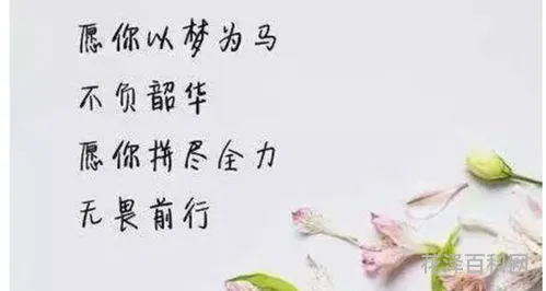 不负韶华什么意思