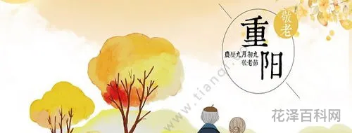 重阳节是哪一天 重阳节是几月几日