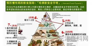 饮食结构金字塔 一日三餐金字塔