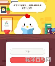 企鹅的翅膀是用来干什么 企鹅啥啥地拍打着啥啥的翅膀