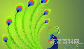孔雀的尾巴像什么，孔雀的尾巴像扇子仿写句子
