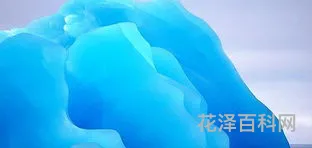 南极洲有哪些国家 南极洲有人居住吗