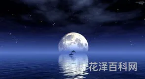 有关于月亮的诗 描写月亮的诗句