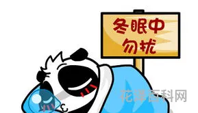 电脑卡屏是怎么回事，电脑屏幕卡住不动
