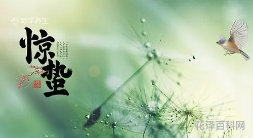 惊蛰是几月几号，二十四节气表