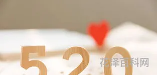 52O代表什么意思?，52数字暗示啥意思