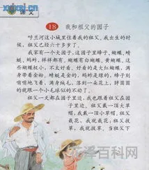 祖父的园子读后感 祖父的园子主要内容概括