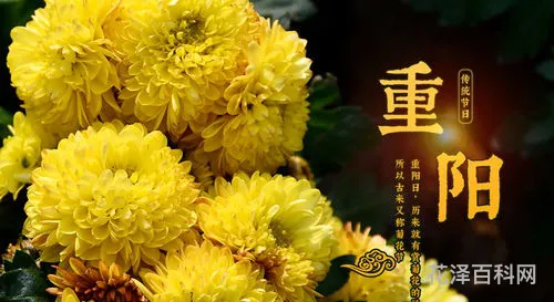 九月九日有什么特殊含义，九月九日节日的意义