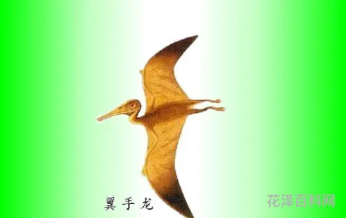 繁殖的近义词，寸草不生近义词