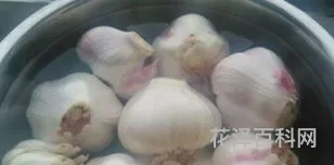 糖醋蒜的做法最正宗的做法