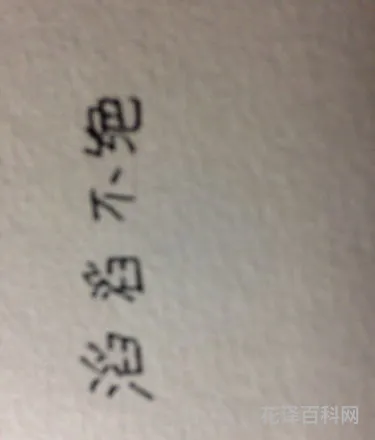 滔滔不绝的近义词，全神贯注的近义词