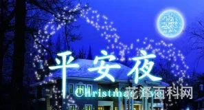 什么时候是平安夜