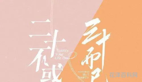 二十不惑三十而已什么意思
