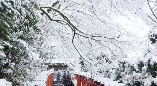 下雪了怎么发朋友圈，高情商下雪幽默句子