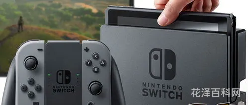 switch什么意思 字母圈的Switch