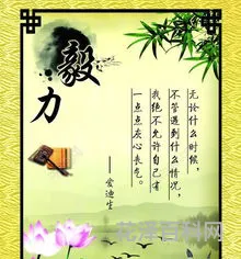 关于毅力的名言，泰戈尔的名言名句