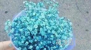过生日送什么鲜花好，送女性朋友生日的花束