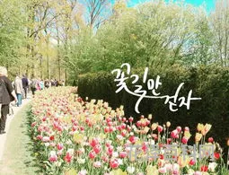走花路是什么意思 走花路的含义