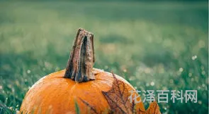 关于立秋唯美诗句，最经典的十首立秋诗词
