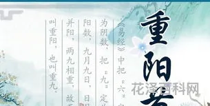 重阳节的佳句，重阳节的句子经典语录