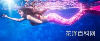 宝镜似空水下一句，心若明镜亦如水下一句