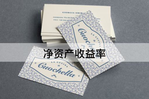 净资产收益率
