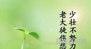 珍惜时间的名人名言 珍惜时间格言大全