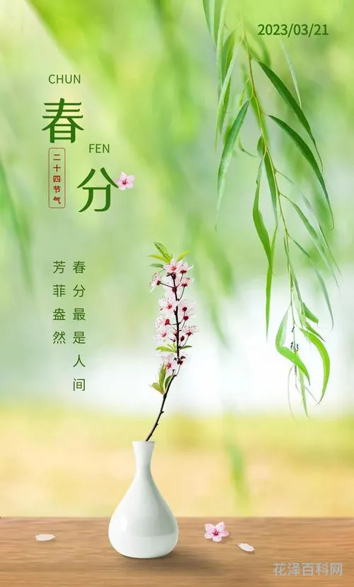 不负春光的唯美句子，心有繁花一路芳华下一句