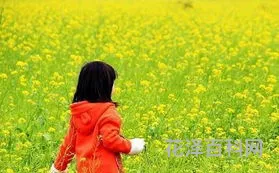 清明节安康还是快乐 清明节能说安康吗