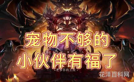 地下城与勇士宠物