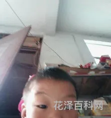 看书快的成语