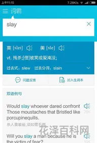 slay什么意思中文，网络用语slay