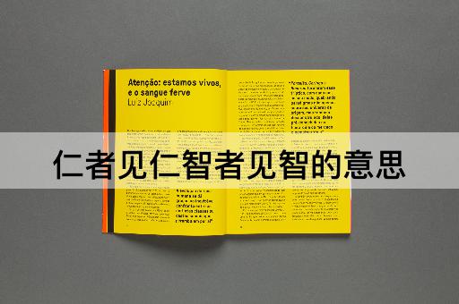 仁者见仁智者见智的意思