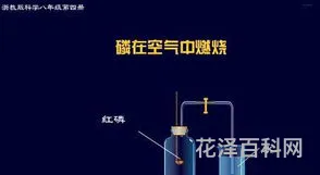 红磷在氧气中燃烧的现象