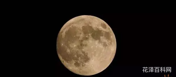 十五的月亮一定是十六圆吗，十五的月亮为谁圆原唱