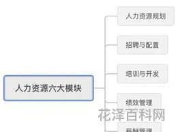 人力资源有哪些模块 人力资源管理6大模块