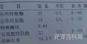 总胆红素偏高的原因，总胆红素高要紧吗