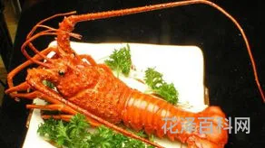 龙虾的血液是什么颜色，龙虾血液图片