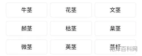 茎可以组什么词语
