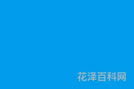 红底照片变蓝底 红底换蓝底照片最简单方法