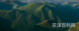 绵亘的近义词，绵亘的意思是什么