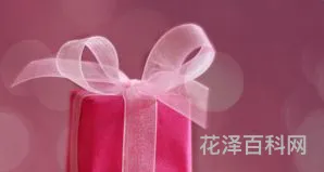平安夜送什么礼物 圣诞节送女朋友什么好呢