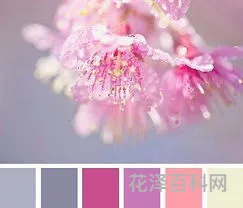 暖色系有哪些，什么颜色属于暖色系列
