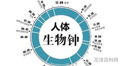 如何调整生物钟