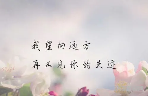 我们都在怀念过去
