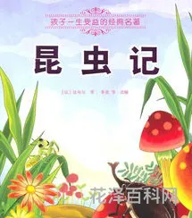 灿烂千阳读后感，灿烂千阳13章阅读感悟与收获