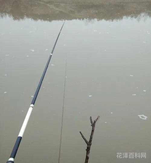 手杆钓鱼技巧 手竿鱼线多长合适