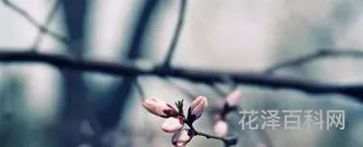 明天立春是几点几分，今年什么时间立秋是几点几分